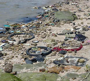 Verschmutzter Strand