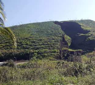 Vulkan Montaña del Palmar in Buenavista del Norte