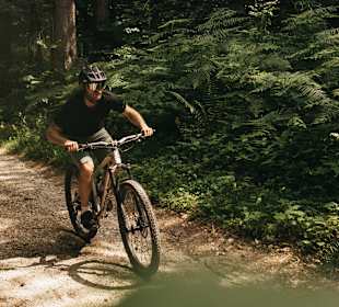 Wandern Oberaichwald