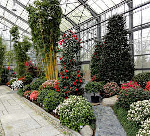 Japanisches Gewächshaus