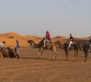 Übernachtung in der Wüste
