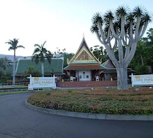 Teneriffa Loro Parque