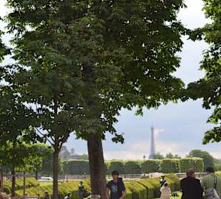 Louvre