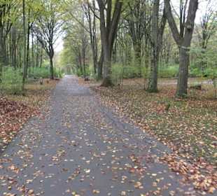 Waldfriedhof