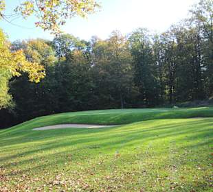 Wald umsäumte Fairways