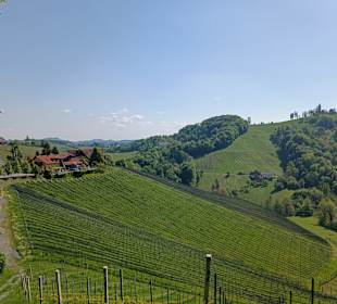 Glanzer Weingärten