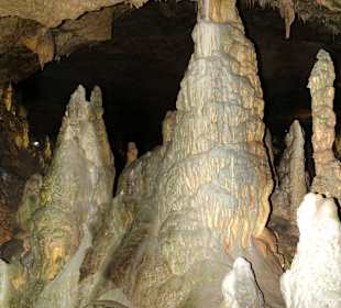 ZUsammengewachsen im Geopark