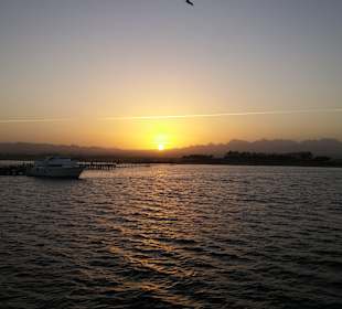 Ausflug Utopia - schnorcheln