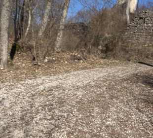 Burgruine Hohenstein