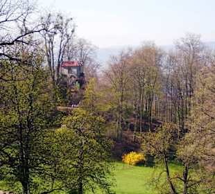Schloßpark Altenstein