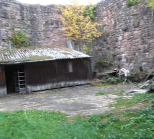 Burgruine Hohenschramberg