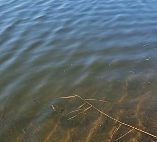 Sauberes Wasser-Üeene