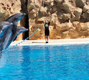 Loro Parque