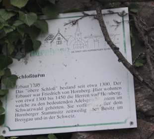 Schloss Hornberg