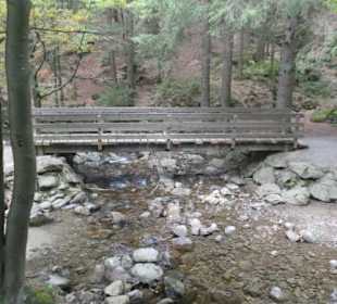 Wasserfall-Tour: Weg zu den Rißlochwasserfällen