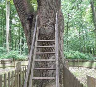 Die Öffnung für die Post
