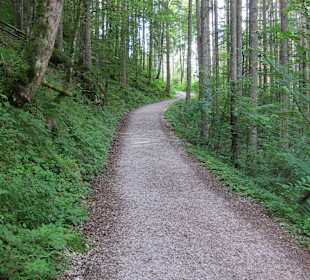 Weg zur Schaertenalm