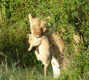 Mama nicht so doll das tut weh