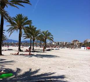 Strand in Hotelnähe (Palma Bay Club Hotel) - 10 Gehminuten