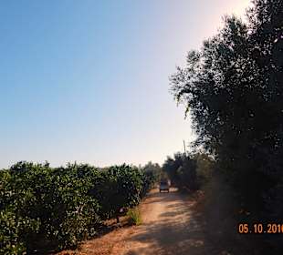 Querfeldein