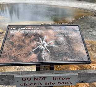 Yellowstone Nationalpark