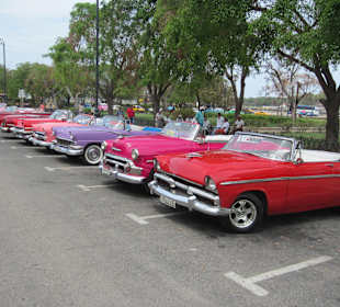 Oldtimer so weit das Auge reicht