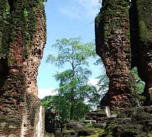 Polonnaruwa - Geführte Touren Astrid Tours Sri Lanka