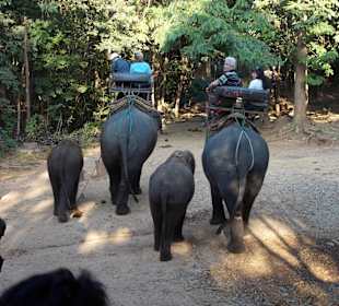 Elefantencamp Chiang Mai