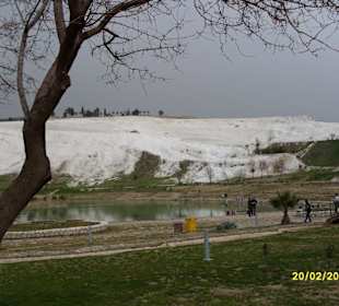Terrassen vom Ort aus gesehen