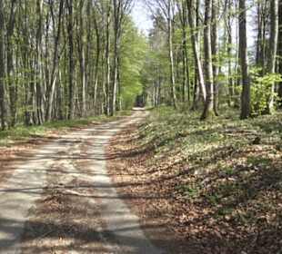 Waldlehrpfad an der Lauter