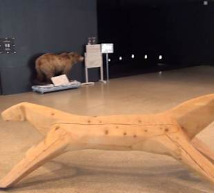 Nationalparkzentrum Haus der Berge