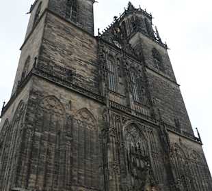 Bei einer Besichtigungstour durch Magdeburg