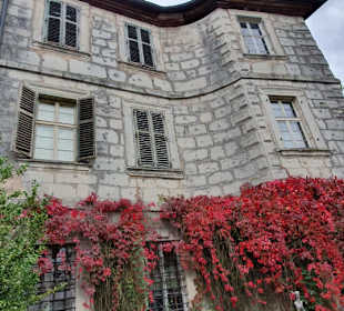 Im herrlichen Herbstfarben