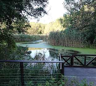 Naturschutzgebiet Baltata