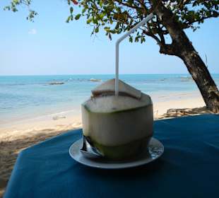 Eisgekühlte Kokosnuss