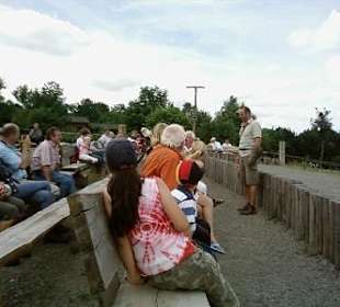 Wildpark und Falknerei