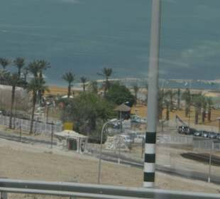 Już widać oleistość