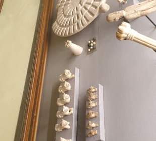 Erlebnis Ägypten VIP Ausflüge