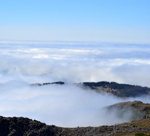 In den Wolken Madeiras