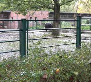 Tierpark