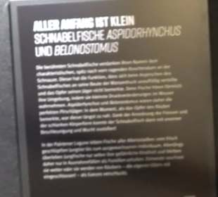 Dinosaurier Museum Altmühltal