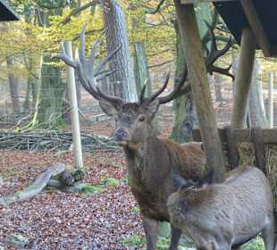Immer schön aufpassen