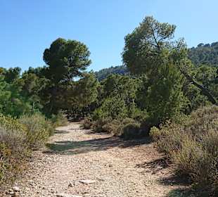Wandern Costa de la Calma 