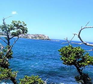 Bondi to Coogee Walk