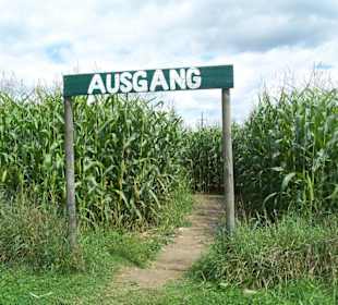 Ausgang Maislabyrinth