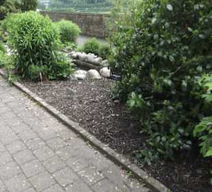 Benediktinerkloster Lorch