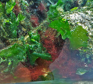 Impressionen aus dem Nationalpark-Haus