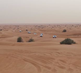 Wüstensafari eine unbeschreibliche Weit