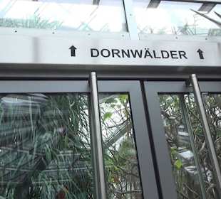 Tropicarium - Trockentropen