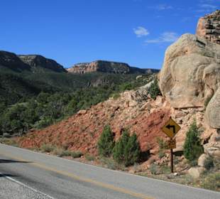 Der Scenic Drive durch den Park